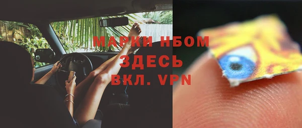 молекула духа Покров