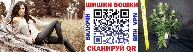 Конопля ГИДРОПОН ссылка на мегу ссылки Поворино